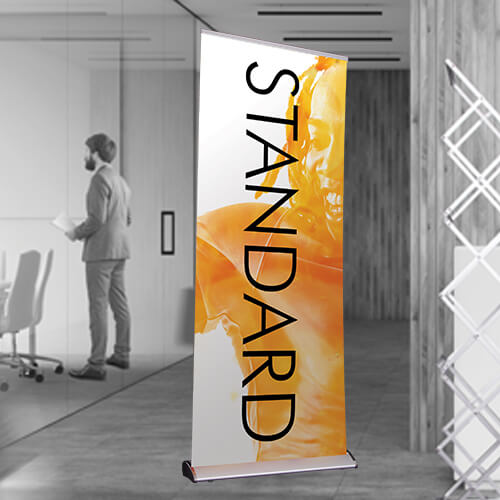 Standard R Banner