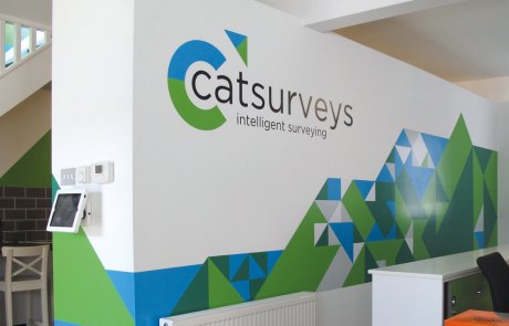 Wall graphics Wall graphics of Catsurveys