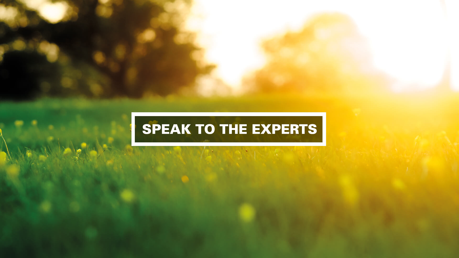 speak to the experts banner image