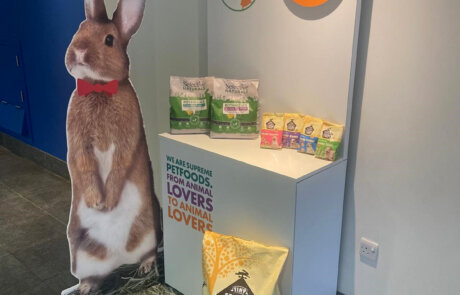 Supreme-PATS_3x4_2024_Statue of Rabbity